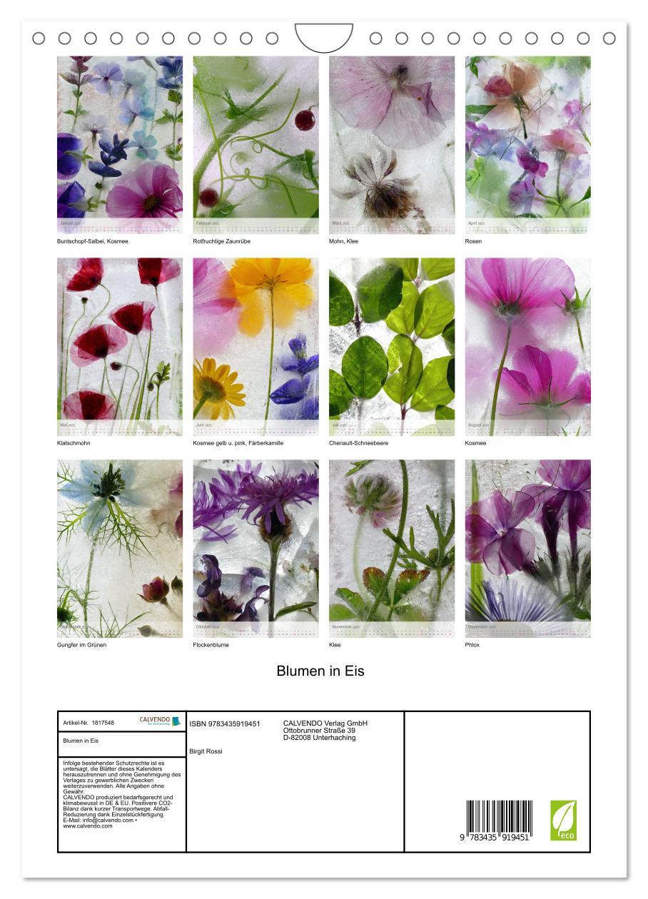 Bild: 9783435919451 | Blumen in Eis (Wandkalender 2025 DIN A4 hoch), CALVENDO Monatskalender