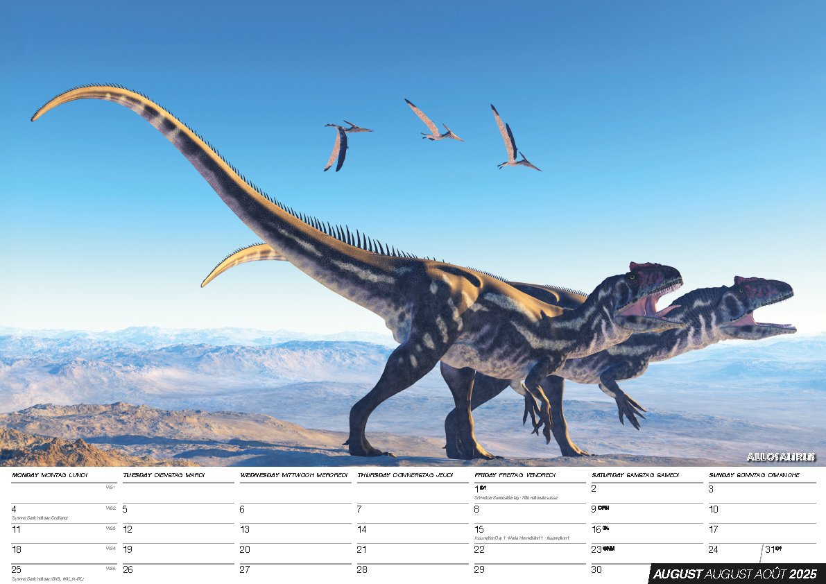 Bild: 9798893610093 | Dinos 2025: Dinosaurier Kalender | Kalender | 14 S. | Deutsch | 2025