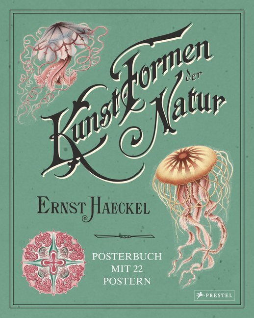 Cover: 9783791385419 | Ernst Haeckel: Kunstformen der Natur | Posterbuch mit 22 Postern