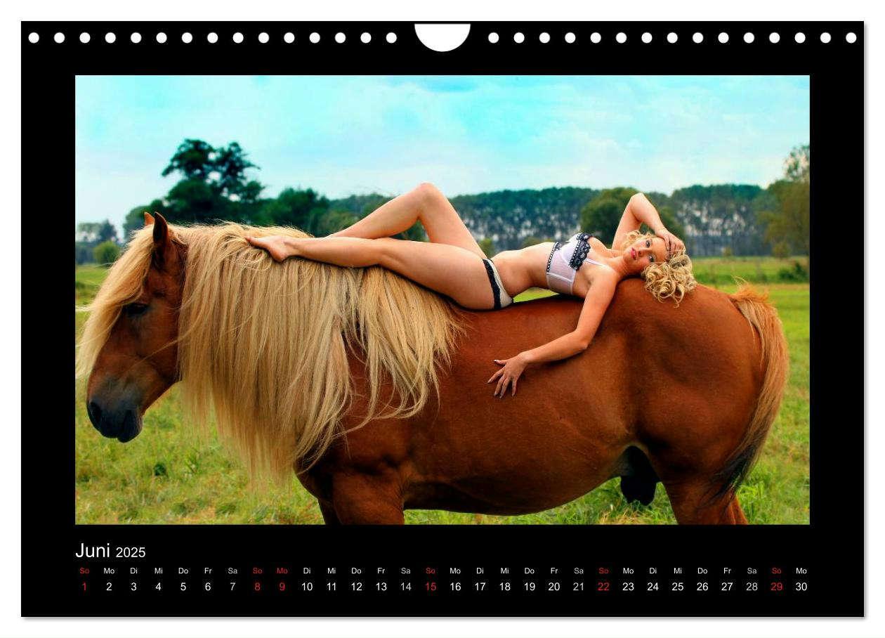 Bild: 9783435751280 | Sexy Horse Girls 2025 - Heiße Girls und starke Kaltblutpferde!...