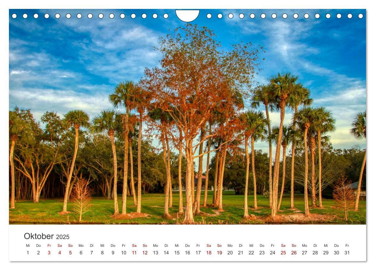 Bild: 9783435009411 | Florida - The Sunshine State (Wandkalender 2025 DIN A4 quer),...