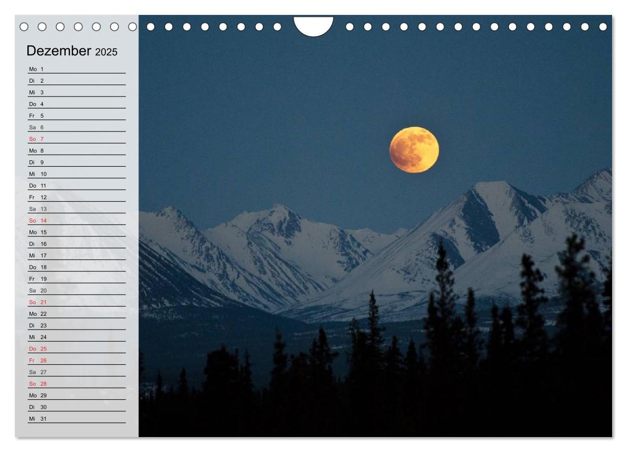 Bild: 9783435523610 | Alaska - Weites Land (Wandkalender 2025 DIN A4 quer), CALVENDO...