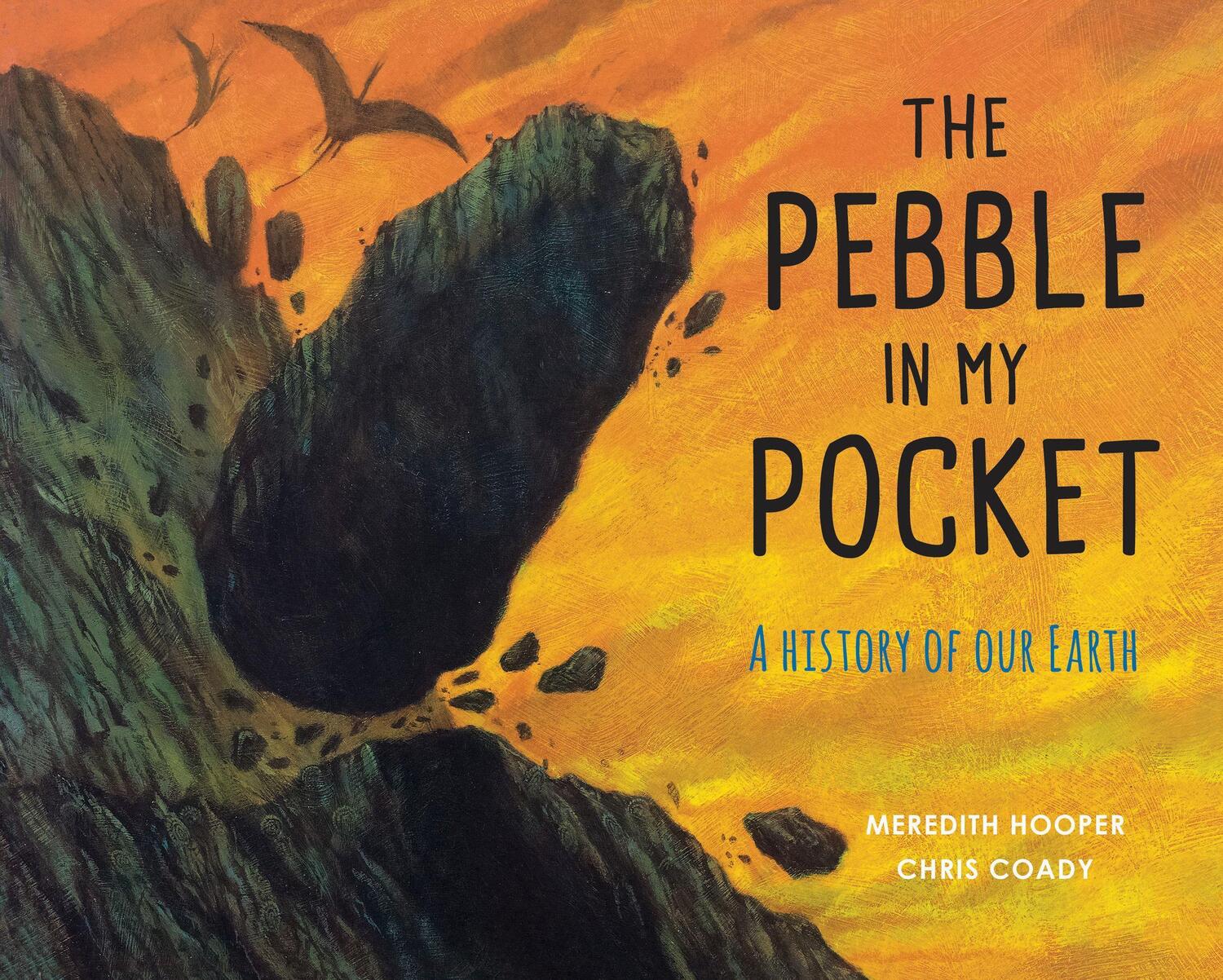 Cover: 9781847807687 | The Pebble in My Pocket | A History of Our Earth | Meredith Hooper