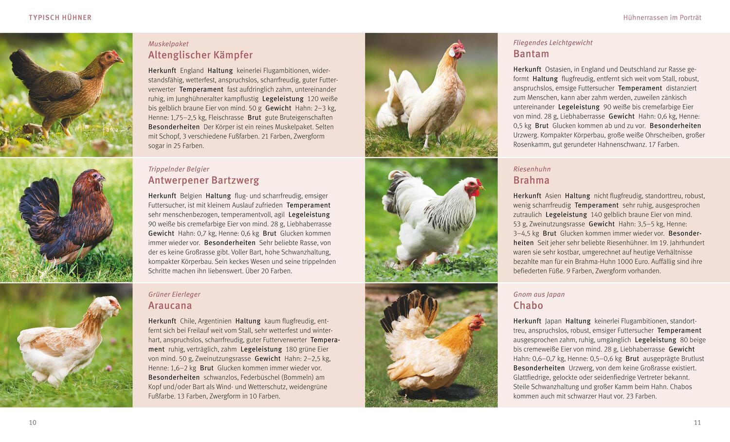 Bild: 9783833848469 | Hühner halten | Das Rundum-Sorglos-Paket | Michael von Lüttwitz | Buch
