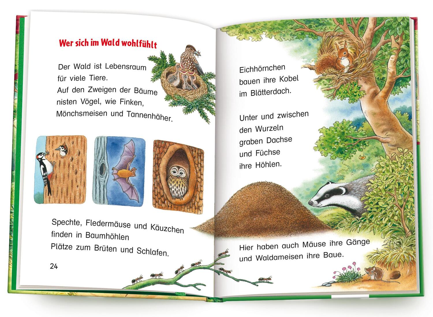Bild: 9783401717302 | Der Wald | Sachwissen für Erstleser | Friederun Reichenstetter | Buch