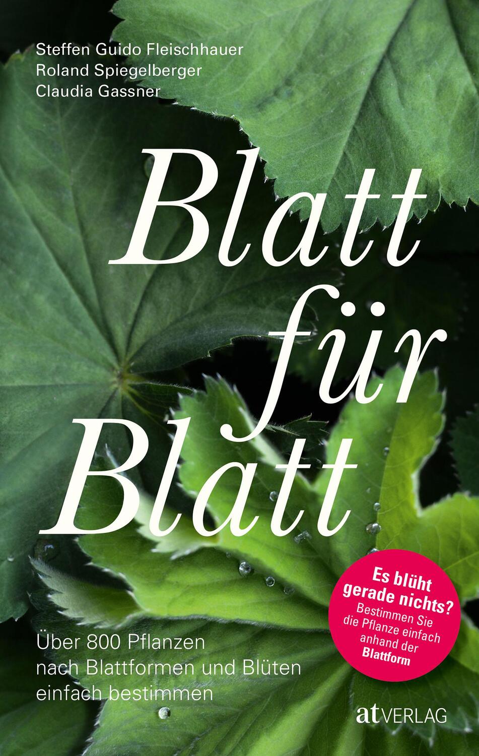 Cover: 9783039021758 | Blatt für Blatt | Steffen Guido Fleischhauer (u. a.) | Taschenbuch