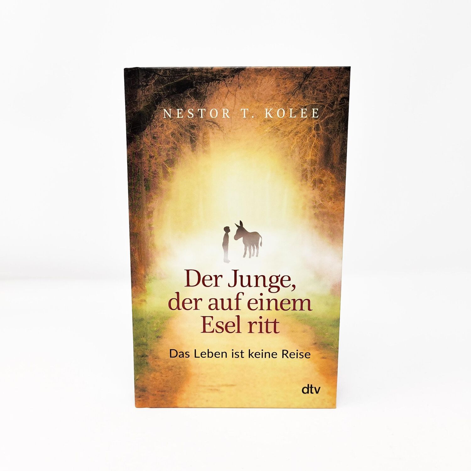 Bild: 9783423283021 | Der Junge, der auf einem Esel ritt | Nestor T. Kolee | Taschenbuch