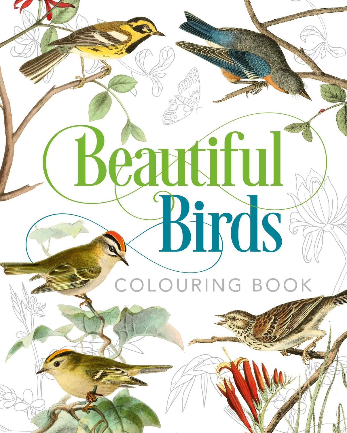 Cover: 9781789501063 | Gray, P: Beautiful Birds Colouring Book | Peter Gray | Englisch | 2019