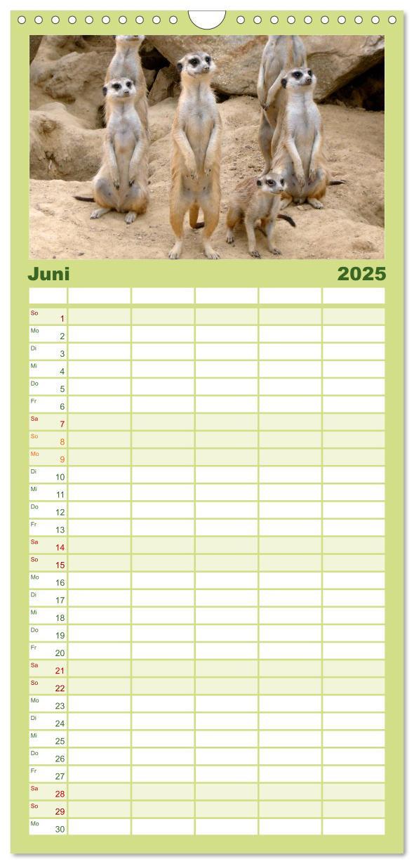 Bild: 9783457109656 | Familienplaner 2025 - Erdmännchen mit 5 Spalten (Wandkalender, 21 x...