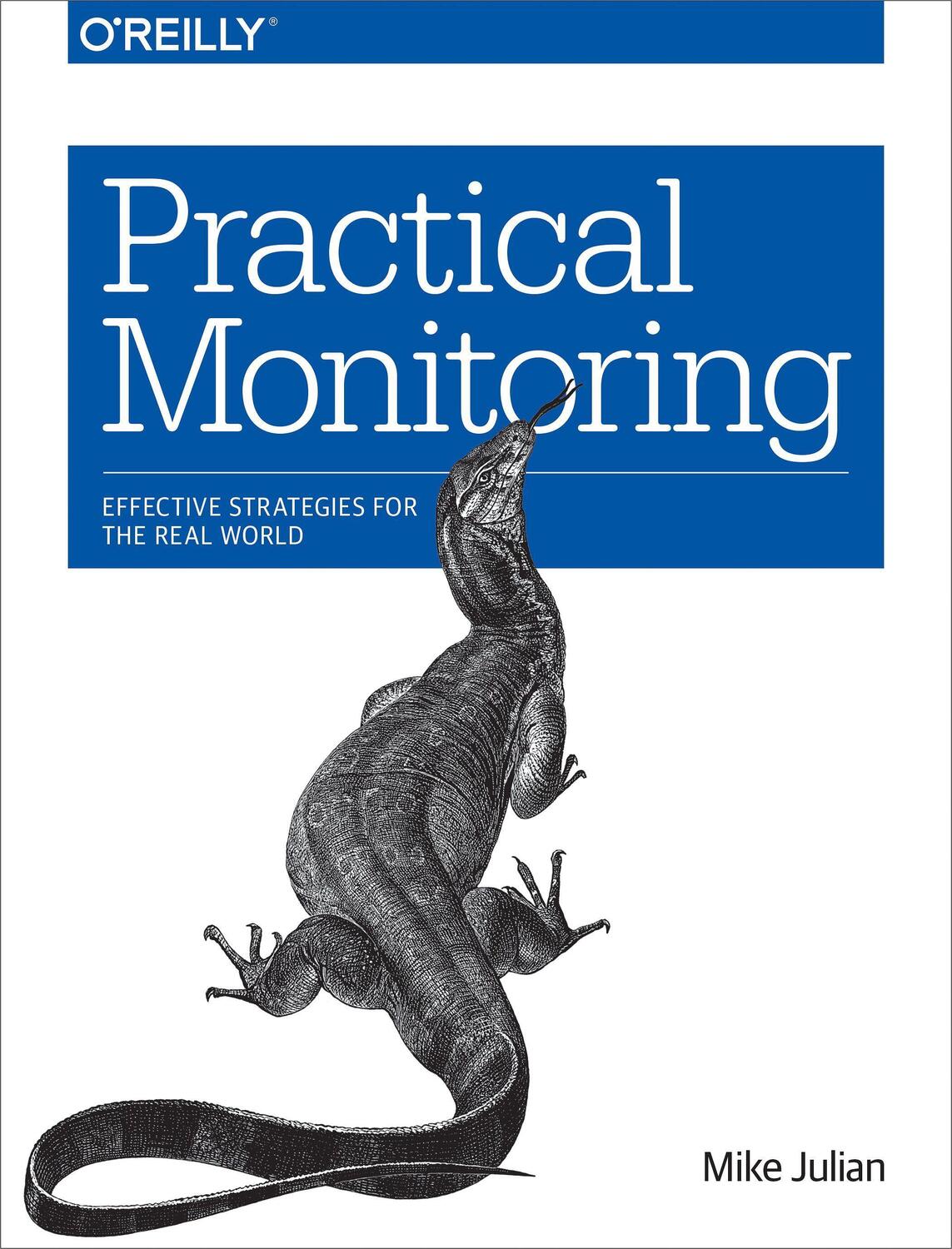 Cover: 9781491957356 | Practical Monitoring: Effective Strategies for the Real World | Julian