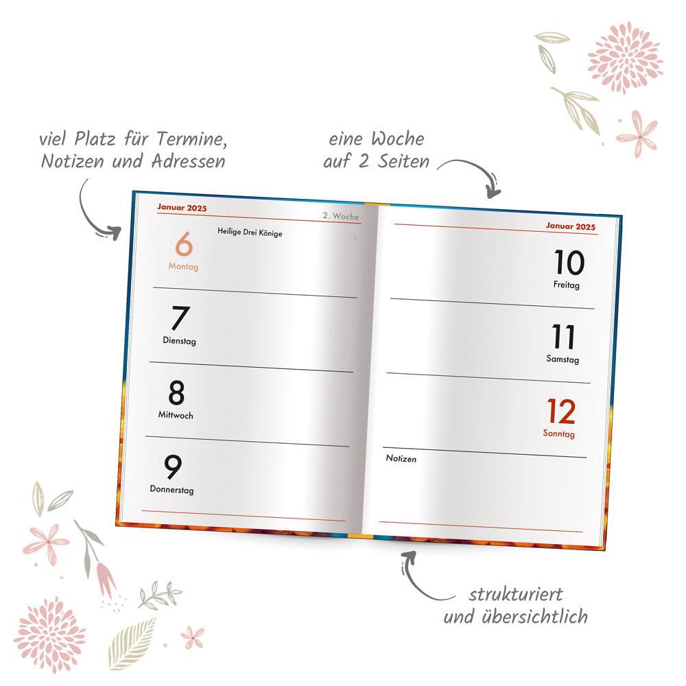 Bild: 4251901506948 | Trötsch Taschenkalender A7 Schmetterling 2025 | Mini-Terminkalender