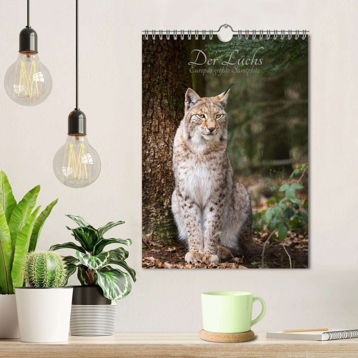 Bild: 9783457007570 | Der Luchs - Europas größte Samtpfote (Wandkalender 2025 DIN A4...