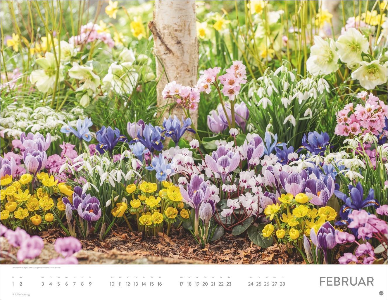 Bild: 9783756405084 | Blütenmeer Posterkalender 2025 | Heye | Kalender | Spiralbindung