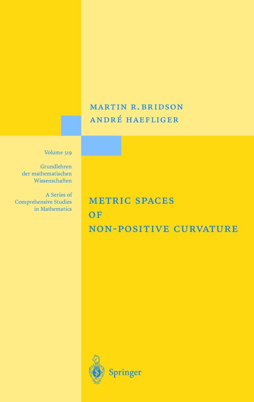 Cover: 9783540643241 | Metric Spaces of Non-Positive Curvature | André Häfliger (u. a.) | xxi