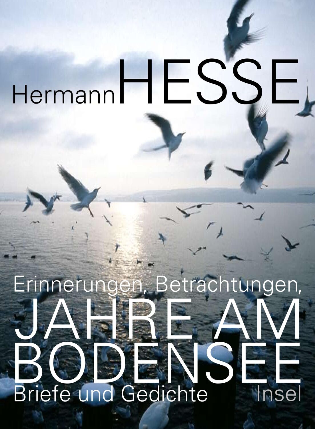 Cover: 9783458174875 | Jahre am Bodensee | Erinnerungen, Betrachtungen, Briefe und Gedichte