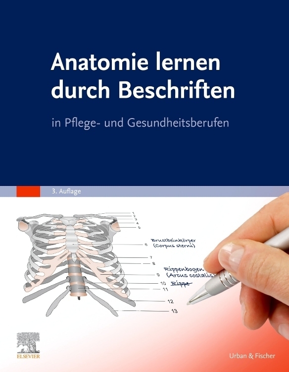 Cover: 9783437250828 | Anatomie lernen durch Beschriften | in Pflege- und Gesundheitsberufen