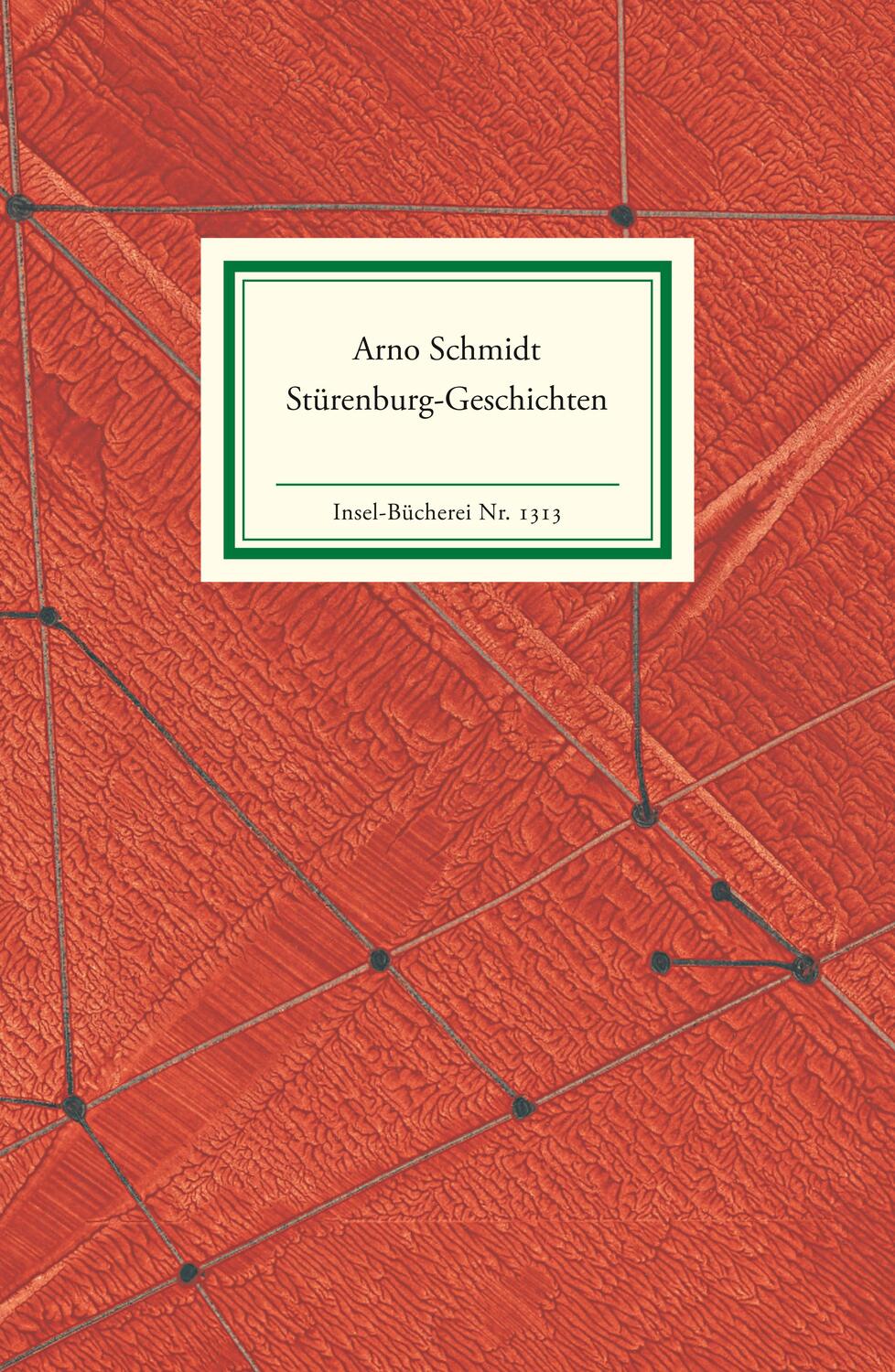 Cover: 9783458193135 | Stürenburg-Geschichten | Acht Erzählungen | Arno Schmidt | Buch | 2009