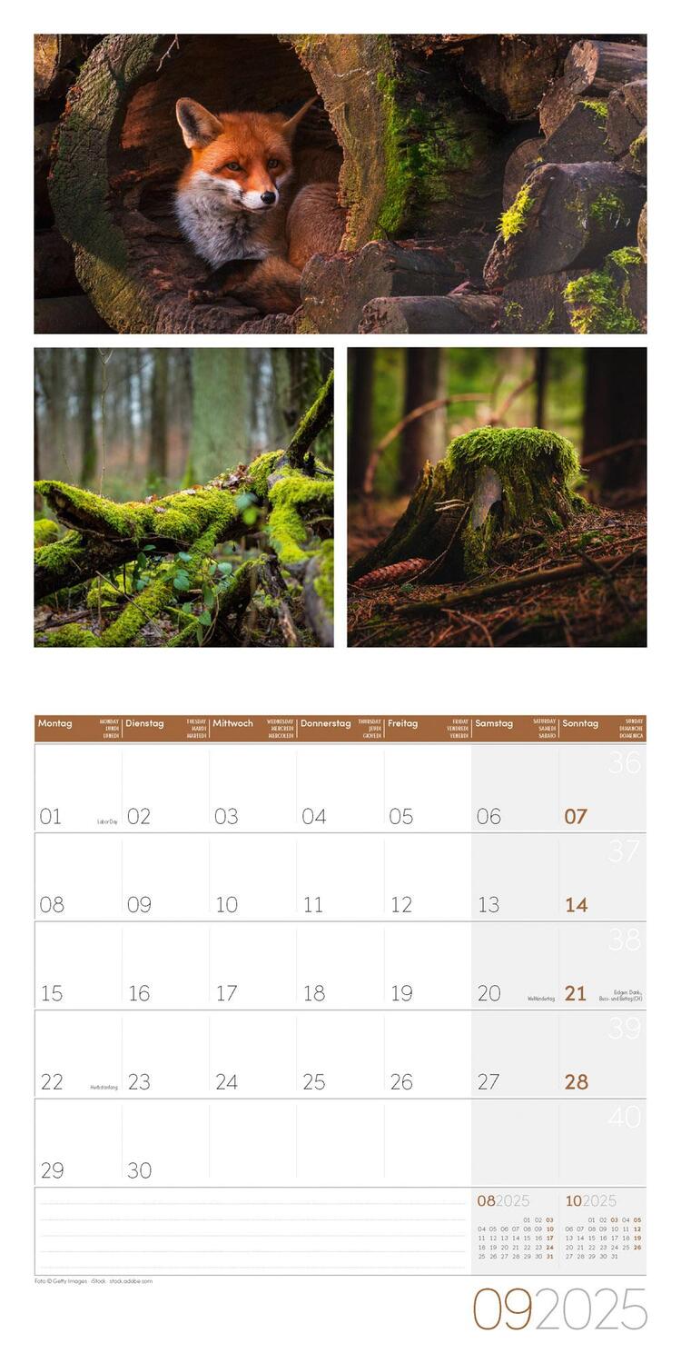 Bild: 9783838445014 | Colours of Nature Kalender 2025 - 30x30 | Ackermann Kunstverlag | 2025