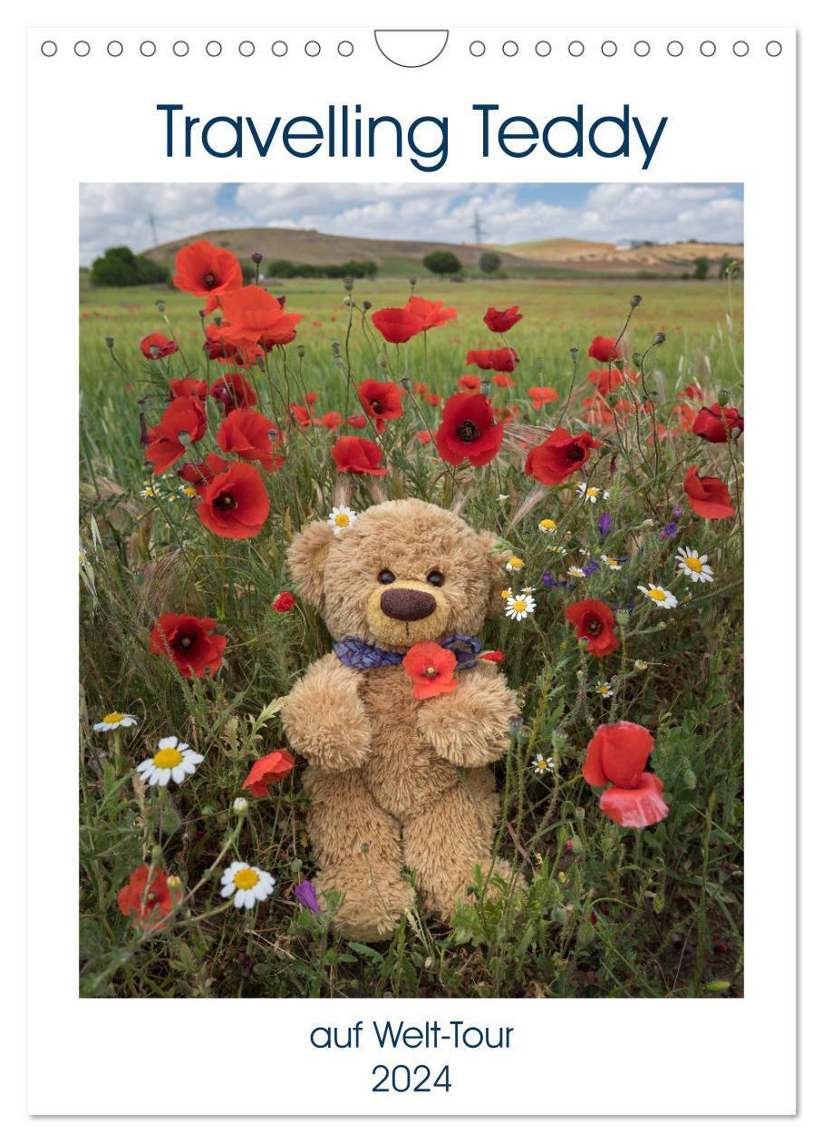 Cover: 9783675631960 | Travelling Teddy auf Welt-Tour (Wandkalender 2024 DIN A4 hoch),...