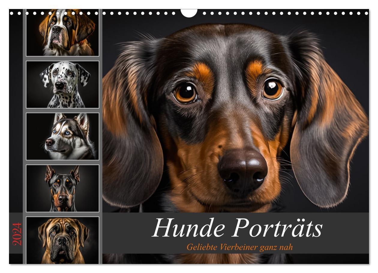 Cover: 9783675439382 | Hunde Porträts (Wandkalender 2024 DIN A3 quer), CALVENDO...