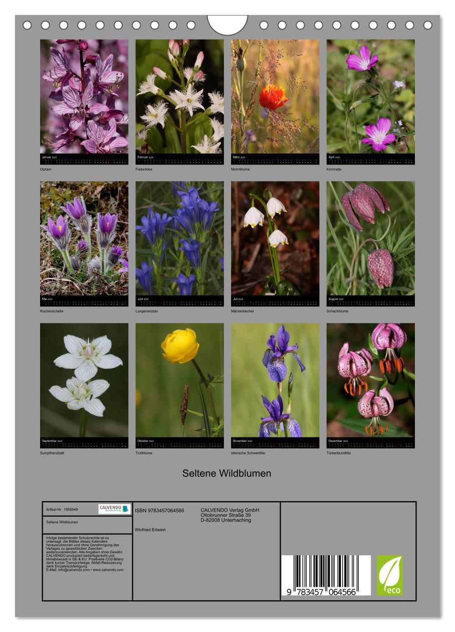 Bild: 9783457064566 | Seltene Wildblumen (Wandkalender 2025 DIN A4 hoch), CALVENDO...