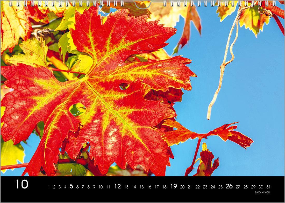 Bild: 9783969031087 | Der Weinkalender 2025, DIN A3 - ein Fotokalender | Peter Bach Jr.