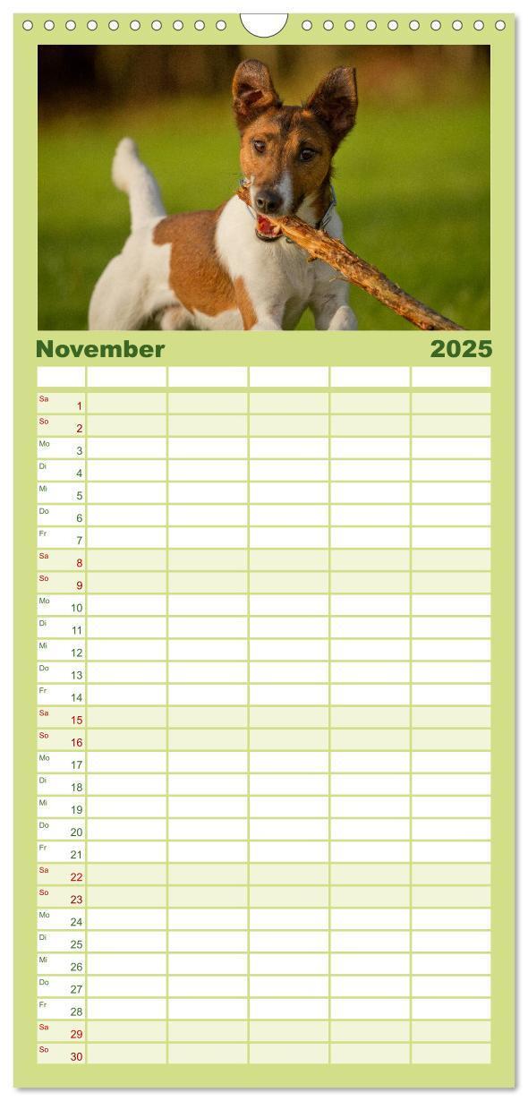 Bild: 9783457120217 | Familienplaner 2025 - Faszination Hund mit 5 Spalten (Wandkalender,...