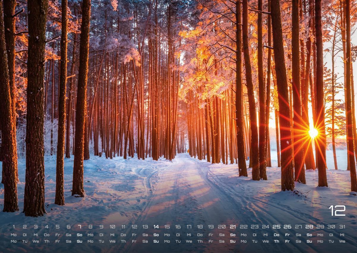 Bild: 9783986734480 | Wald - Erholung für Mensch und Tier - 2025 - Kalender DIN A3 | de