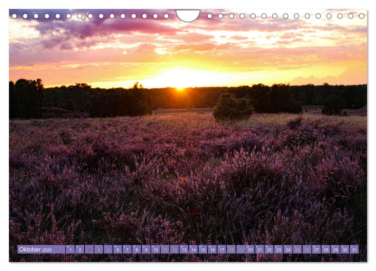 Bild: 9783383984419 | Die Farbenpracht der Lüneburger Heide (Wandkalender 2025 DIN A4...