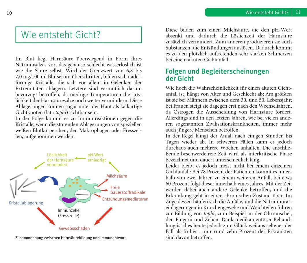 Bild: 9783833861437 | Die richtige Ernährung bei Gicht | Alexa Leonie Meyer | Taschenbuch