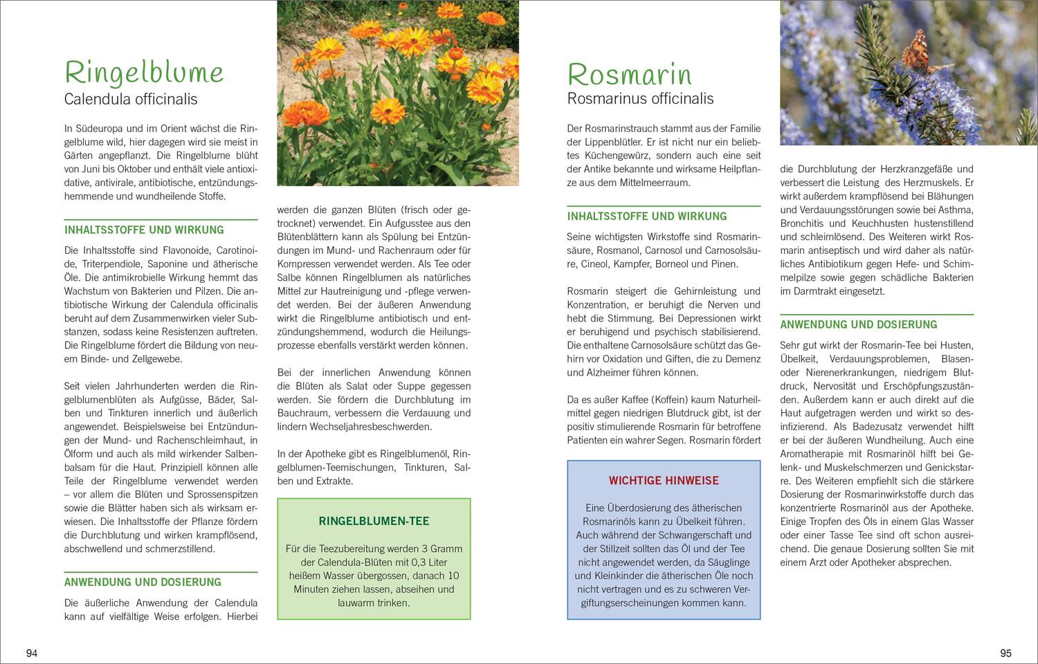 Bild: 9783809439547 | Antibiotische Heilpflanzen | Über 50 Pflanzen und ihre Wirkung | Buch