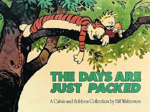 Cover: 9780836217353 | Calvin and Hobbes. The Days Are Just Packed | Bill Watterson | Buch