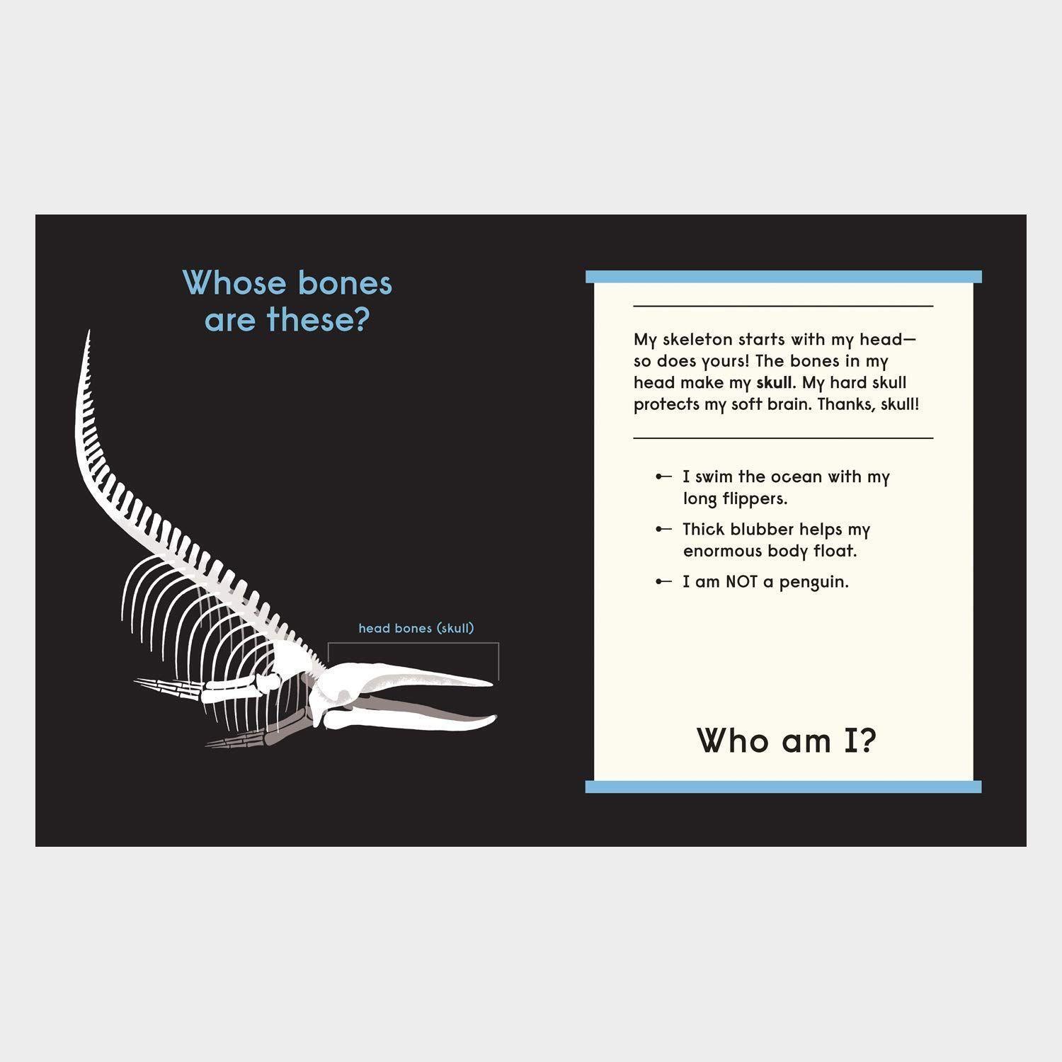 Bild: 9781838661519 | Whose Bones? | An Animal Guessing Game | Gabrielle Balkan | Buch