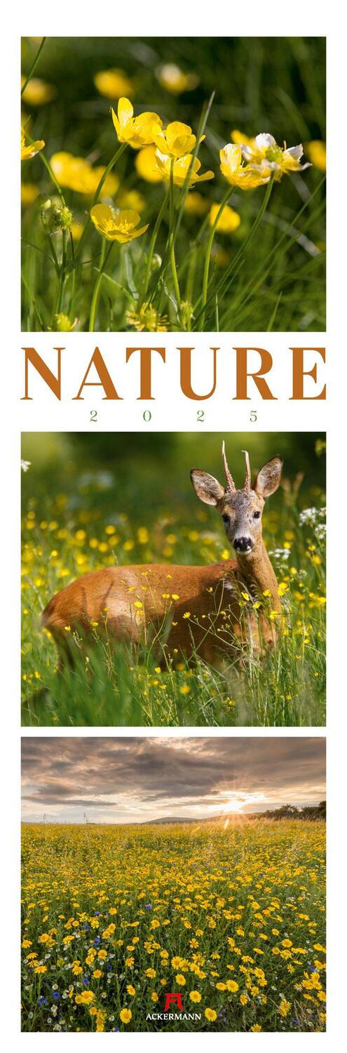 Cover: 9783838425566 | Nature Triplet-Kalender 2025 | Ackermann Kunstverlag | Kalender | 2025