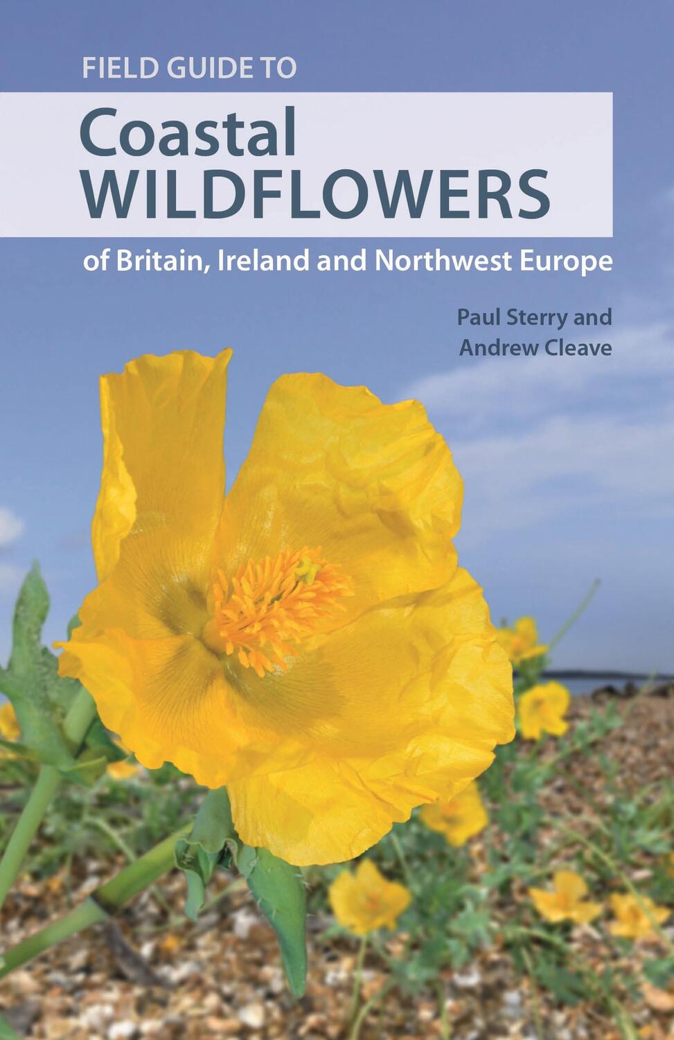 Cover: 9780691218151 | Field Guide to Coastal Wildflowers of Britain, Ireland and...