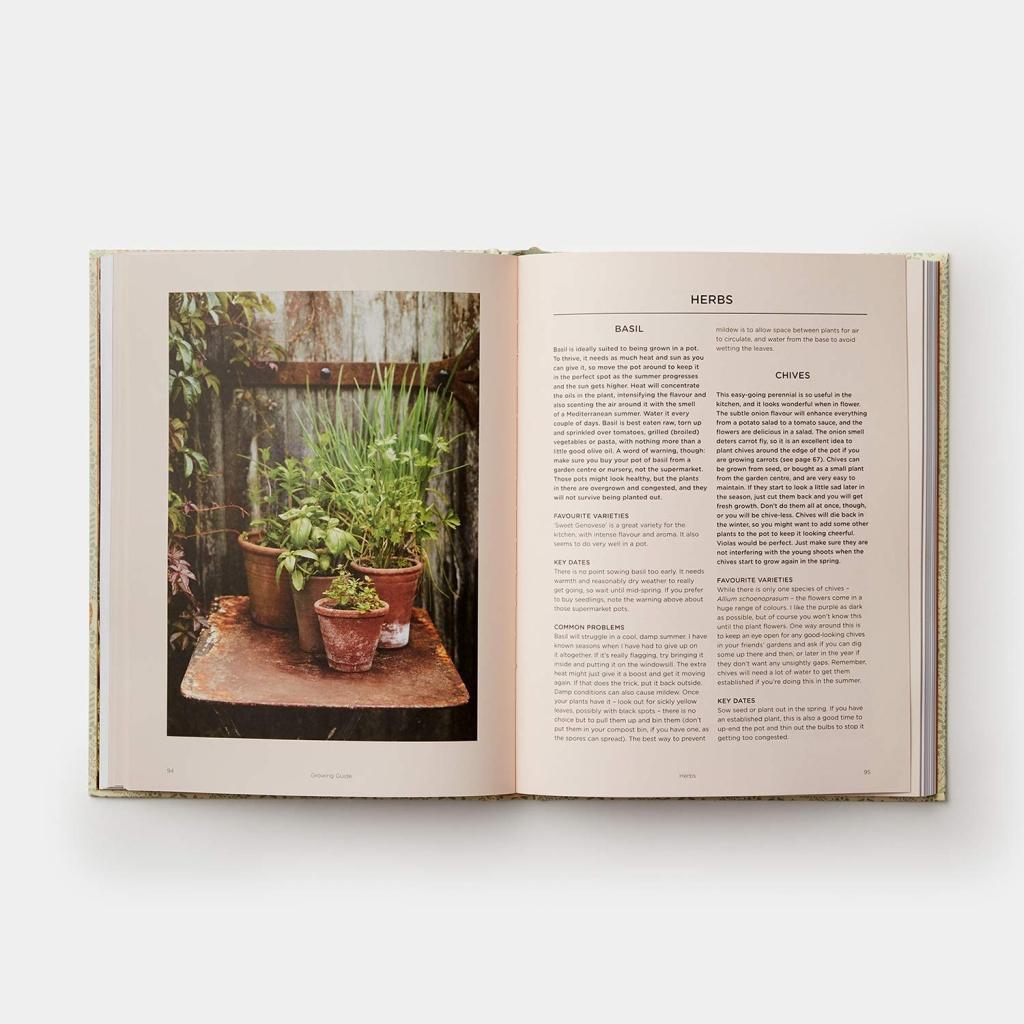 Bild: 9780714878614 | Grow Fruit &amp; Vegetables in Pots | Aaron Bertelsen | Buch | 240 S.