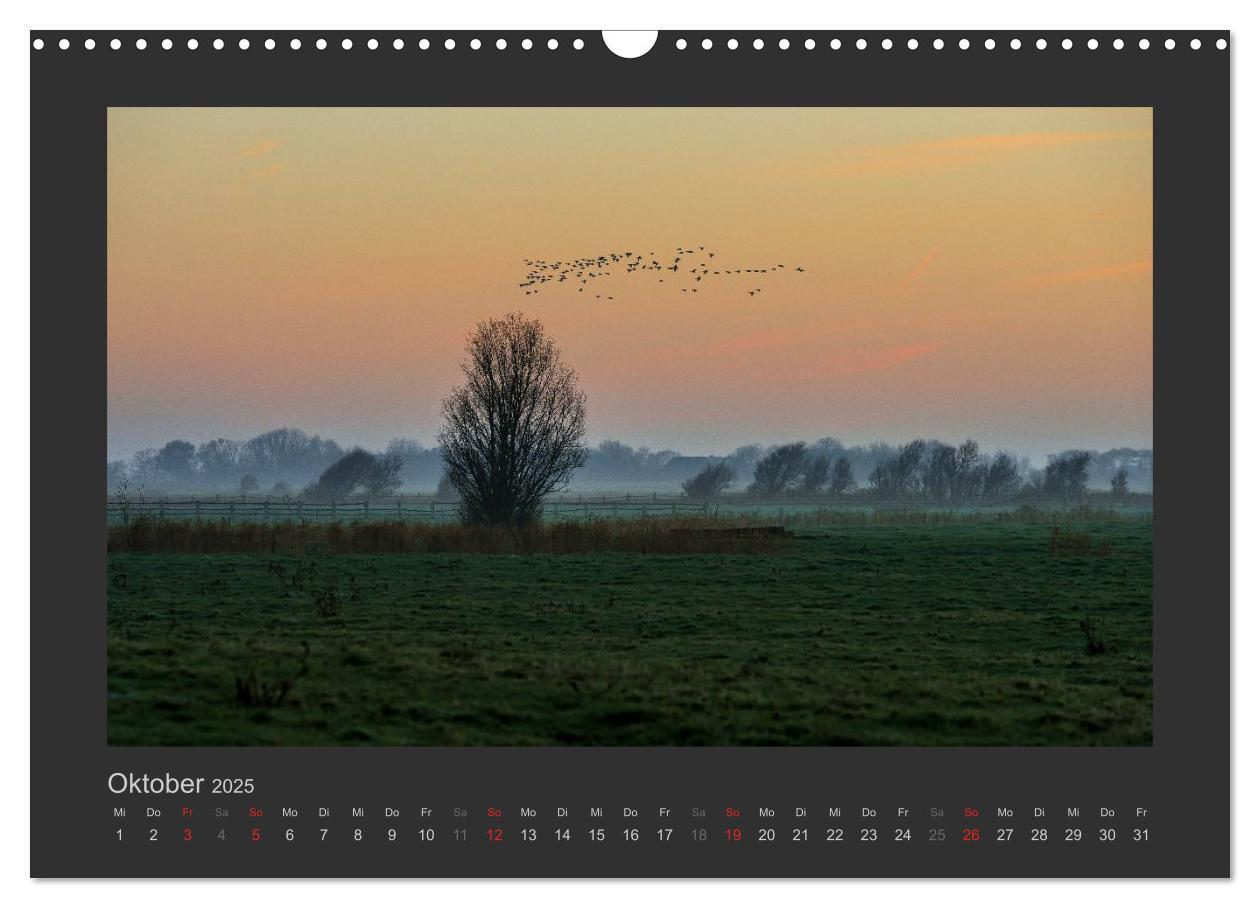 Bild: 9783435659968 | Impressionen aus St. Peter-Ording (Wandkalender 2025 DIN A3 quer),...