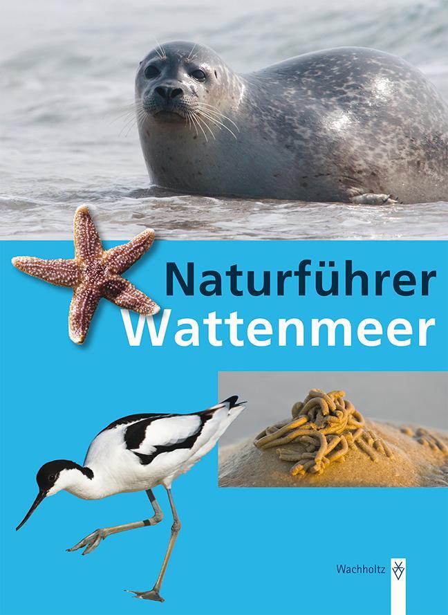 Cover: 9783529053528 | Naturführer Wattenmeer | Rainer Borcherding | Taschenbuch | Deutsch