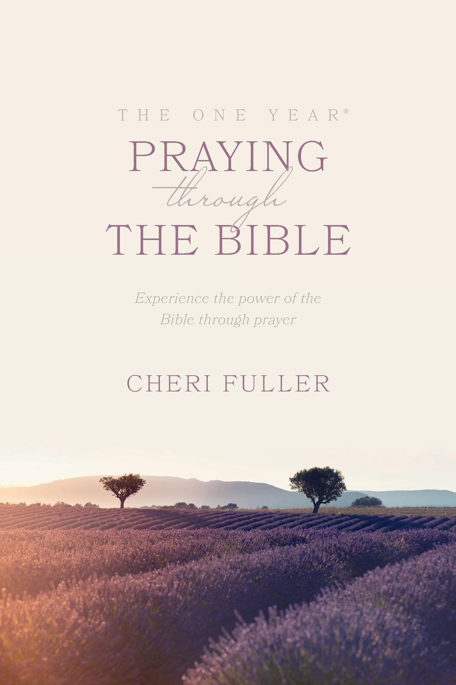 Cover: 9780842361781 | The One Year Praying through the Bible | Cheri Fuller | Taschenbuch