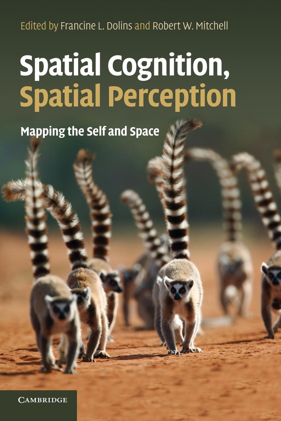 Cover: 9781107646230 | Spatial Cognition, Spatial Perception | Robert W. Mitchell | Buch