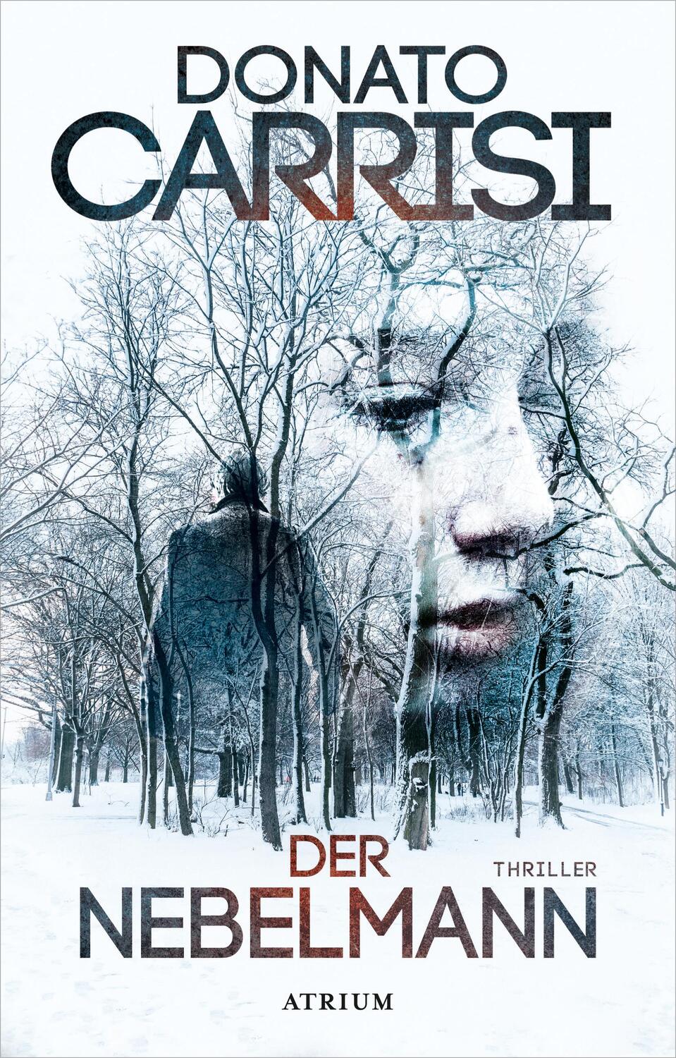 Cover: 9783855350162 | Der Nebelmann | Donato Carrisi | Buch | Deutsch | 2017 | Atrium Verlag