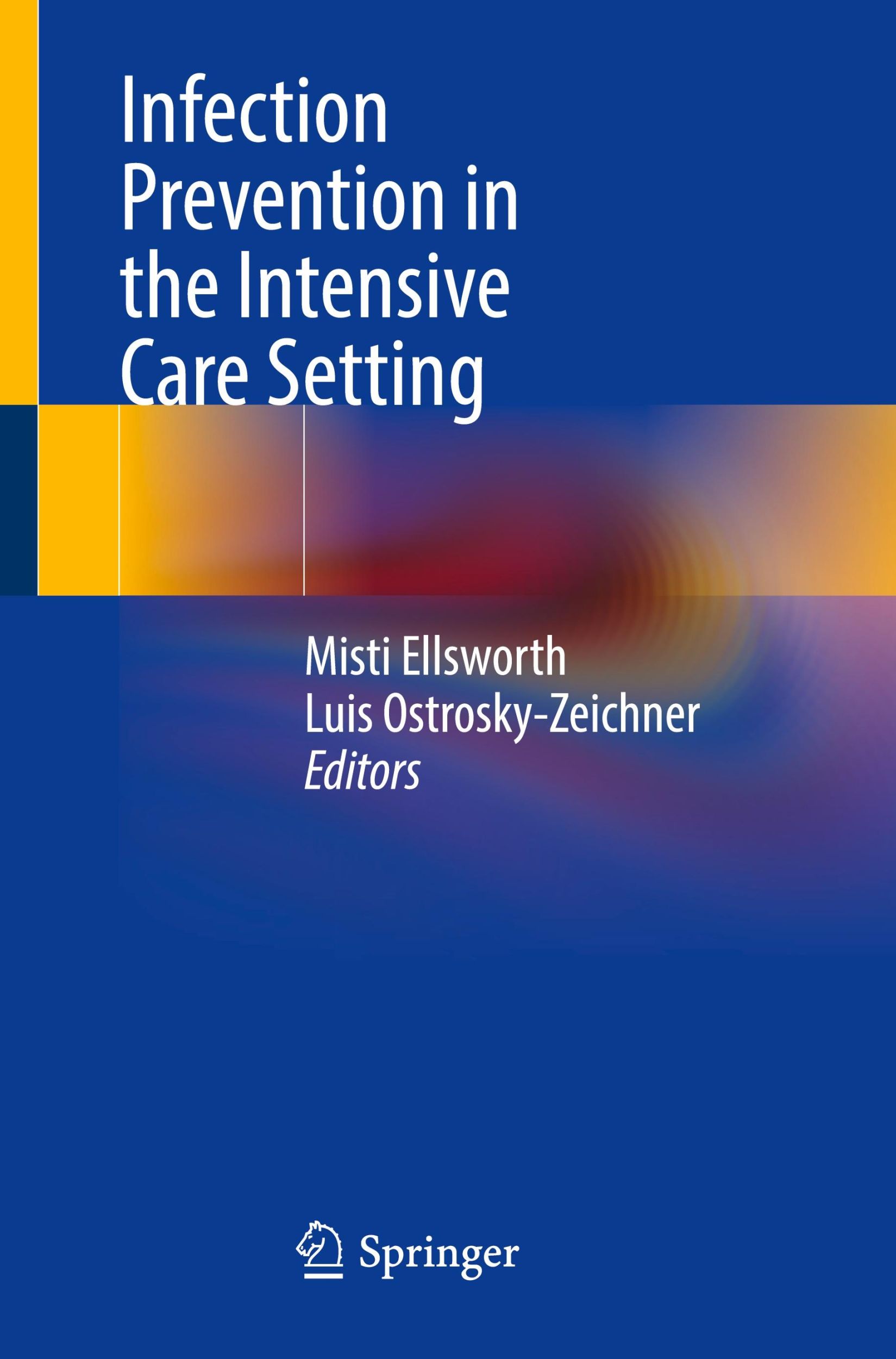 Cover: 9783031670619 | Infection Prevention in the Intensive Care Setting | Taschenbuch | xii