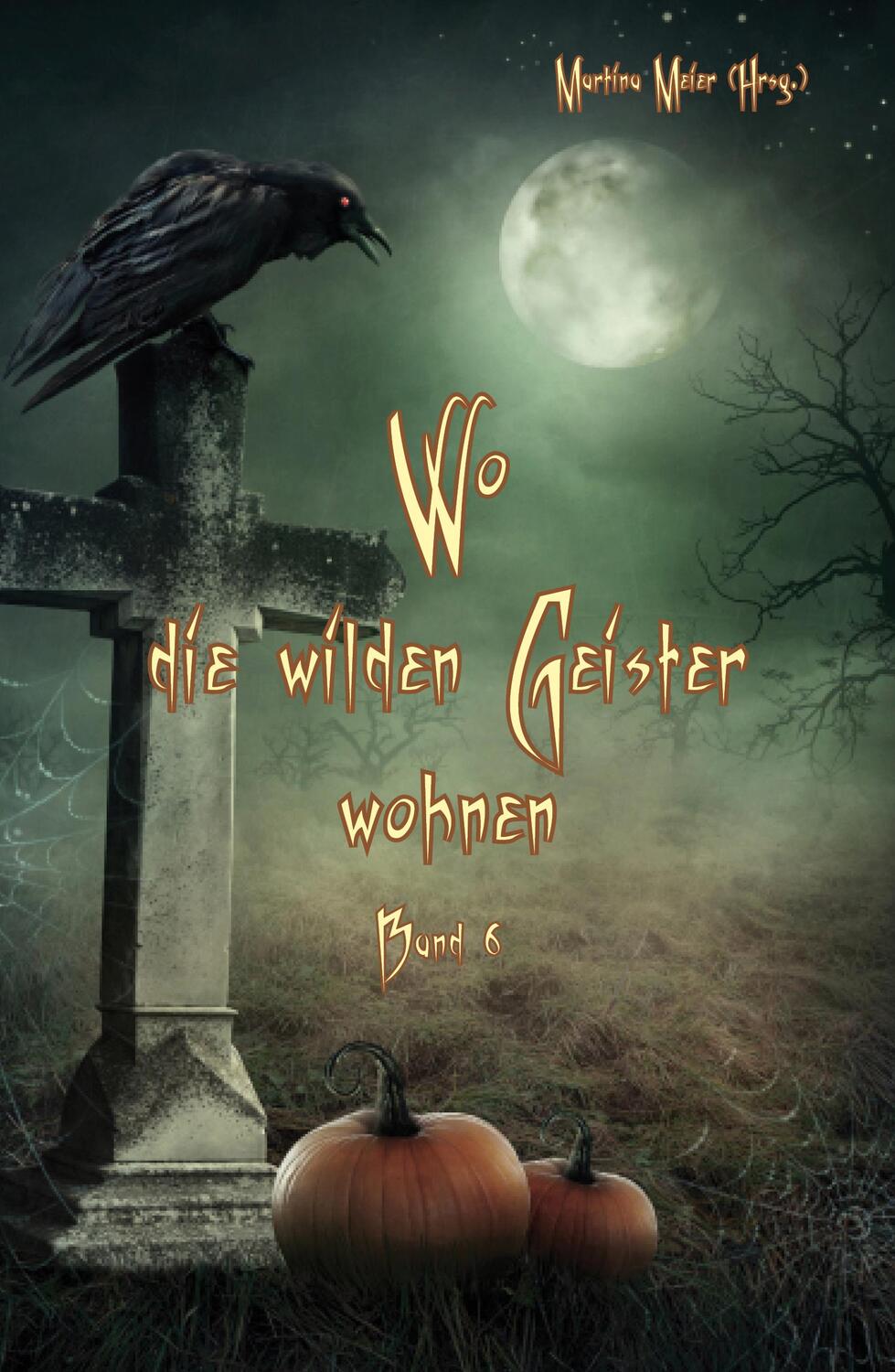 Cover: 9783990511312 | Wo die wilden Geister wohnen | Martina Meier | Taschenbuch | 240 S.