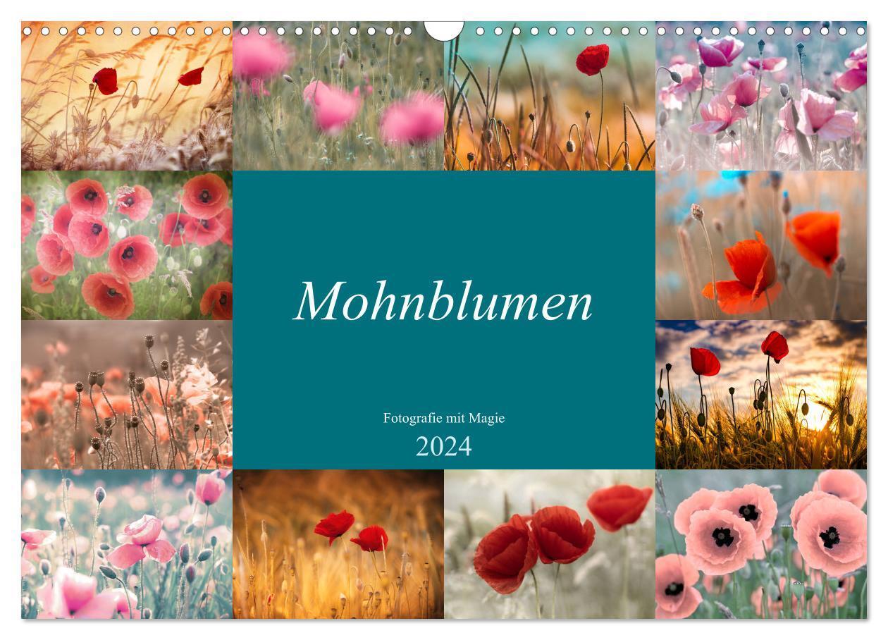 Cover: 9783675686243 | Mohnblumen - Fotografie mit Magie (Wandkalender 2024 DIN A3 quer),...