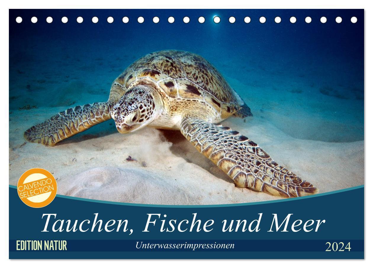 Cover: 9783383193859 | Tauchen, Fische und Meer (Tischkalender 2024 DIN A5 quer), CALVENDO...
