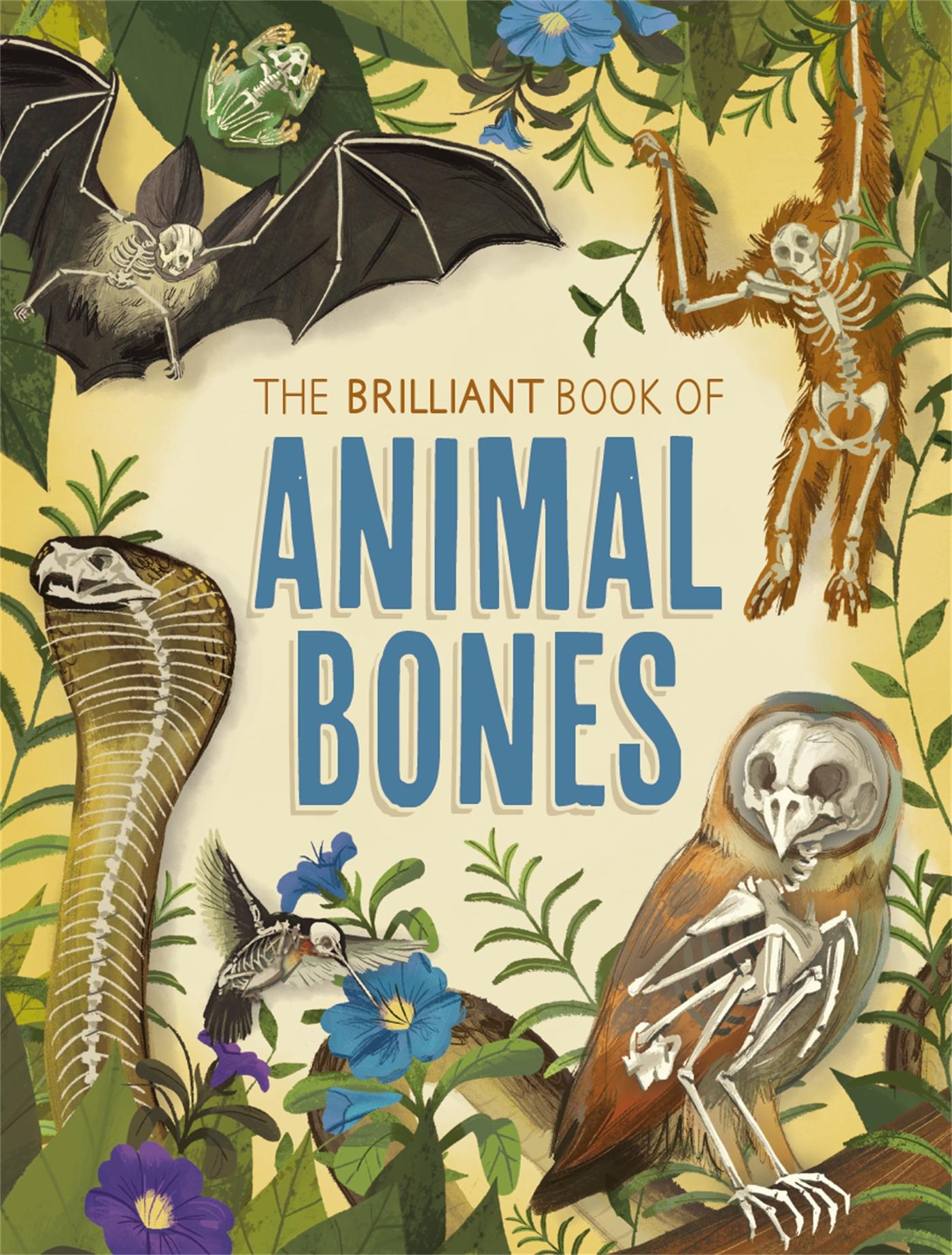 Cover: 9781526312471 | The Brilliant Book of Animal Bones | Anna Claybourne | Taschenbuch