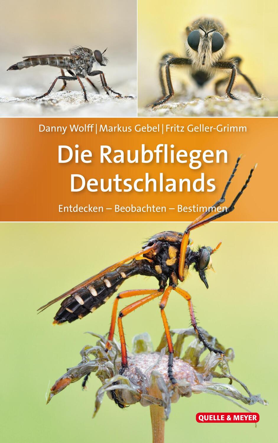 Cover: 9783494017334 | Die Raubfliegen Deutschlands | Entdecken - Beobachten - Bestimmen