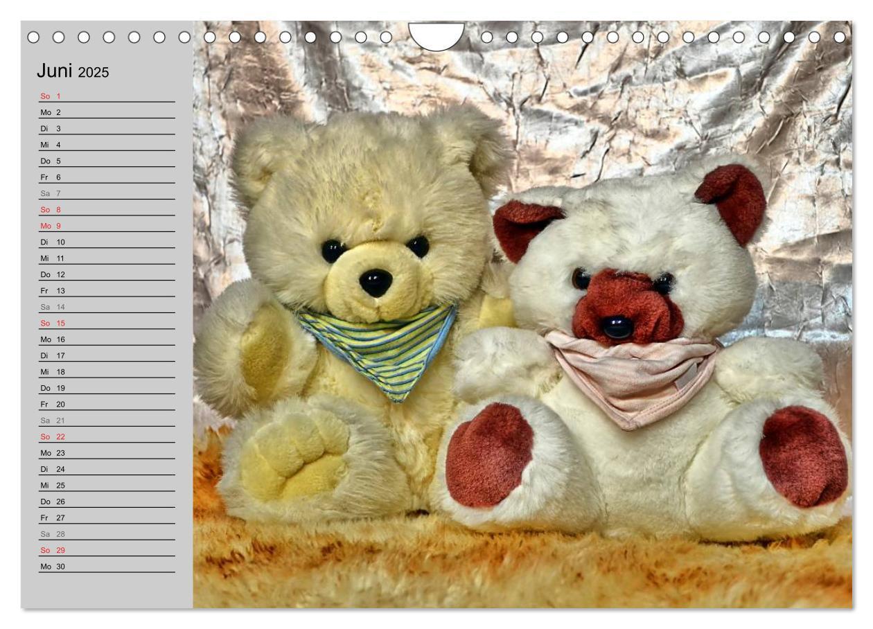 Bild: 9783435496068 | TEDDYBÄR, OH TEDDYBÄR... (Wandkalender 2025 DIN A4 quer), CALVENDO...