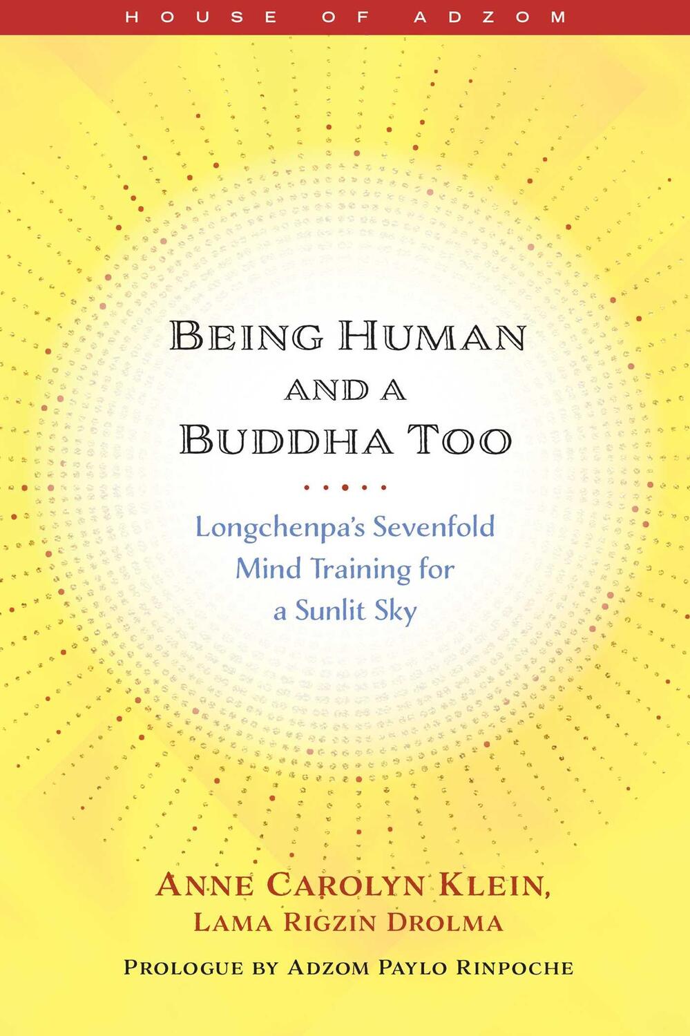 Cover: 9781614297581 | Being Human and a Buddha Too | Anne Klein | Taschenbuch | 2023