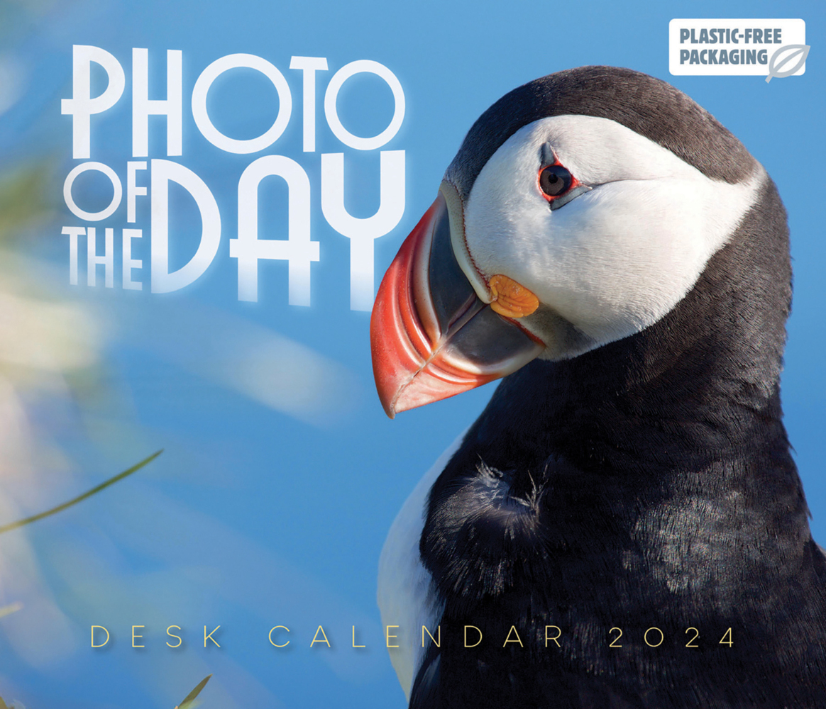 Cover: 9781529833911 | Photo of the Day - Foto des Tages 2024 | Carousel Calendars | Kalender
